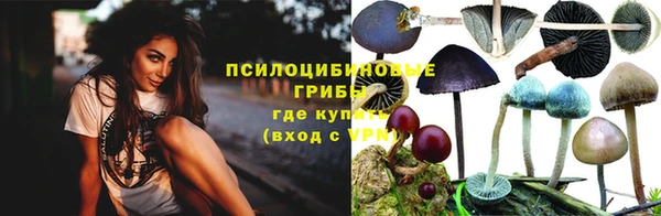 винт Алексин