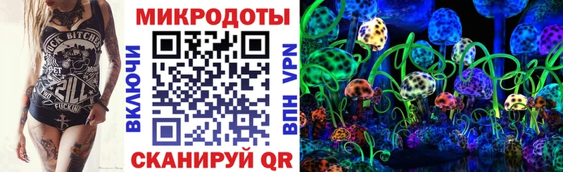 mega ТОР  Суоярви  Псилоцибиновые грибы Psilocybe 